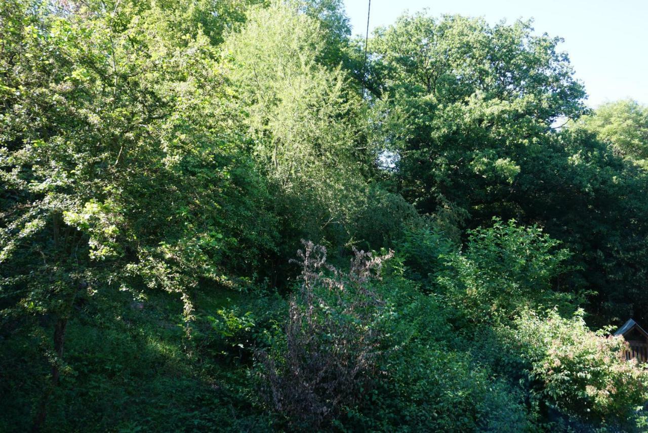 Gruene Oase Apartment Hargesheim ภายนอก รูปภาพ